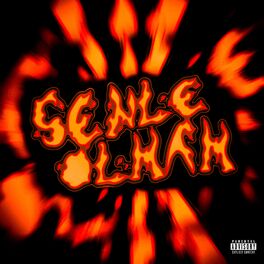 Album cover of SENLE OLMAM