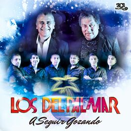 Album cover of Los Del Palmar (A Seguir Gozando)