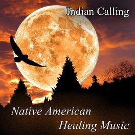 Album cover of Native American Healing Music