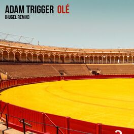 Album cover of Olé (HUGEL Remix)