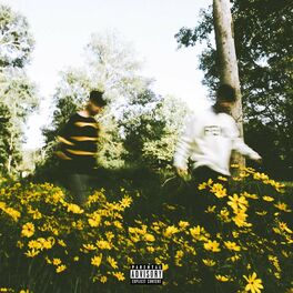 Album cover of Drugs & Flowers
