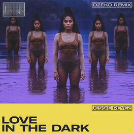 Album cover of LOVE IN THE DARK (Dzeko Remix)