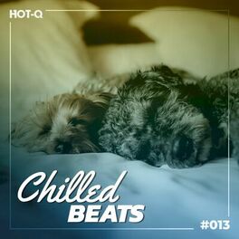 Album cover of Chilled Beats 013