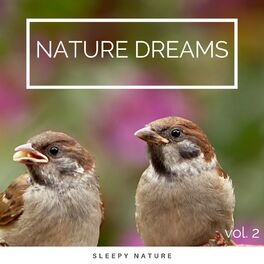 Album cover of 2022 Nature Dreams vol. 2