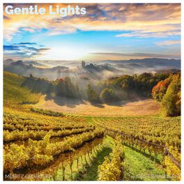 Album cover of Gentl Lights