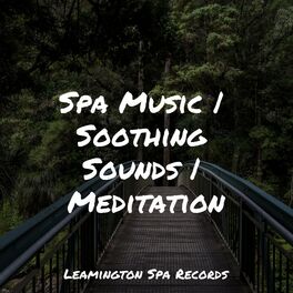 Album cover of Spa Music | Soothing Sounds | Meditation