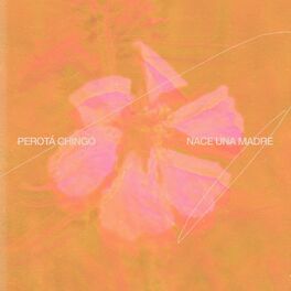 Album cover of NACE UNA MADRE