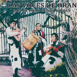 Album cover of Bajo el Cielo de las Carpas