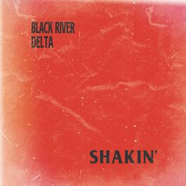 Album cover of Shakin'