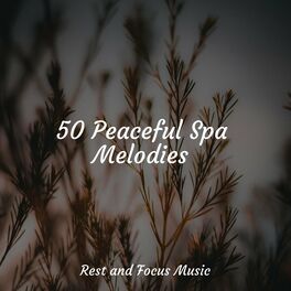 Album cover of 50 Peaceful Spa Melodies