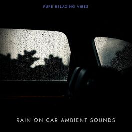 Album cover of Rain on Car Ambient Sounds