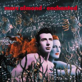 Album cover of Enchanted