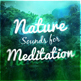 Album cover of Nature Sounds for Meditation