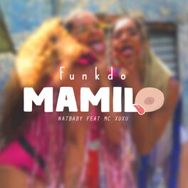 Album cover of Funk do Mamilo