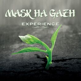 Album cover of Experience