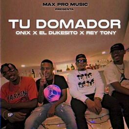 Album cover of Tu Domador