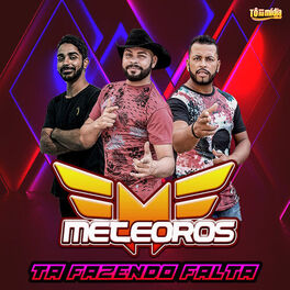 Album cover of Tá Fazendo Falta