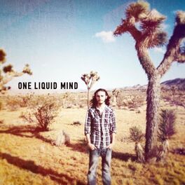 Album cover of ONE LIQUID MIND