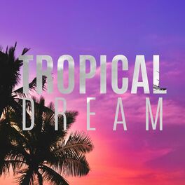 Album cover of Tropical Dream (feat. Matt Uelmen, Martin O'Donnell & Nick Arundel)