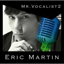 Album cover of MR.VOCALIST 2