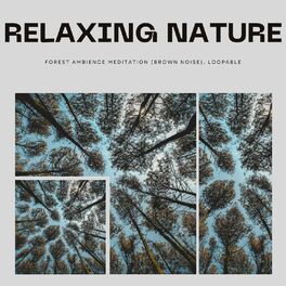 Album cover of Relaxing Nature Forest Ambience Meditation (Brown Noise), Loopable