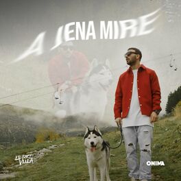 Album cover of A jena mire