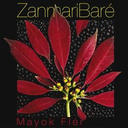 Album cover of Mayok flér