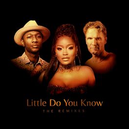 Album cover of Little Do You Know (The Remixes)