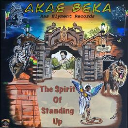 Album cover of The Spirit of Standing Up