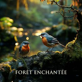Album cover of Forêt enchantée: Nature apaisante sur fond New Age, Sommeil profond, Relaxation ambiante, Méditation