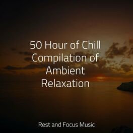 Album cover of 50 Hour of Chill Compilation of Ambient Relaxation