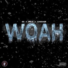 Album cover of Woah (feat. Nelz & Luggage)