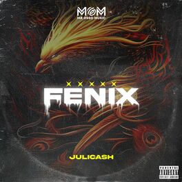 Album cover of Fenix