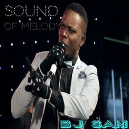 Album cover of Sound of Melody