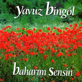 Album cover of Baharım Sensin