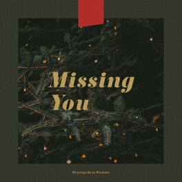 Album cover of Missing You