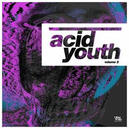 Album cover of Acid Youth, Vol. 2