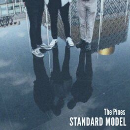 Album cover of Standard Model