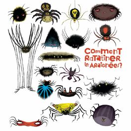 Album cover of Comment ratatiner les araignées ?