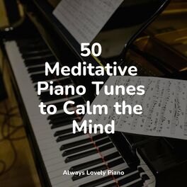 Album cover of 50 Meditative Piano Tunes to Calm the Mind