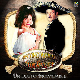 Album cover of Un Dueto Inolvidable