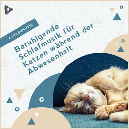 Album cover of Beruhigende Schlafmusik für Katzen während der Abwesenheit