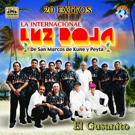 Album cover of El Gusanito (En Vivo)