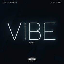 Album cover of Vibe (Remix)