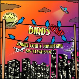 Album cover of Birds (Remix)