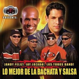 Album cover of Lo Mejor de la Bachata y Salsa