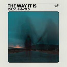 Album cover of The Way It Is
