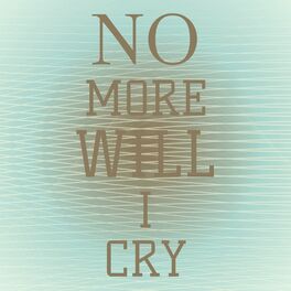 Album cover of No More Will I Cry