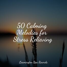 Album cover of 50 Calming Melodies for Stress Relieving