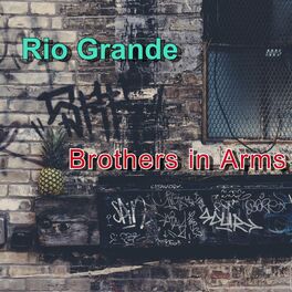 Album picture of Brothers in Arms
